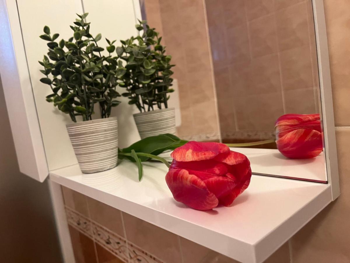 Apartment Lala Sombor Bagian luar foto
